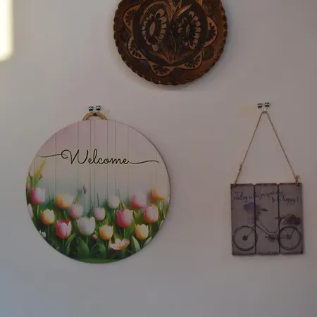 Orsi House *