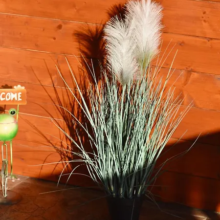 Orsi House سزومباثيلي